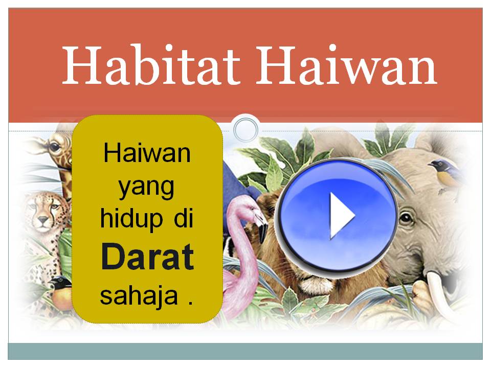Bahasa Malaysia Tahap Satu Bahasa Malaysia Habitat Haiwan