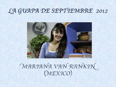 GUAPA VAN guapa van: