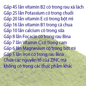 Lợi ích của cỏ Barley