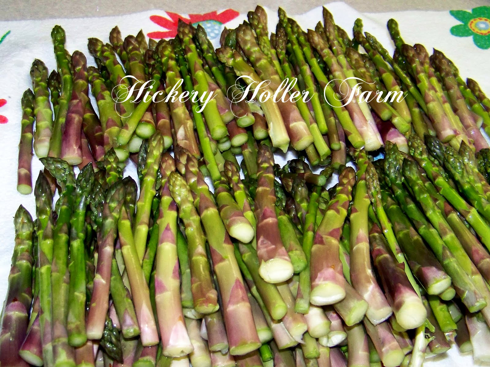 Hickery Holler Farm Canning Asparagus
