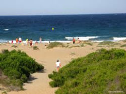 Sendero Litoral "Clot de Galvany y Dunas de Arenales del Sol"