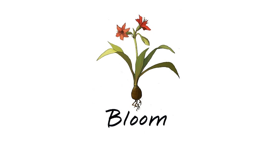 Bloom