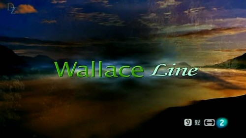 La línea de Wallace [Documental | AVI | Español | 804.78 MB]