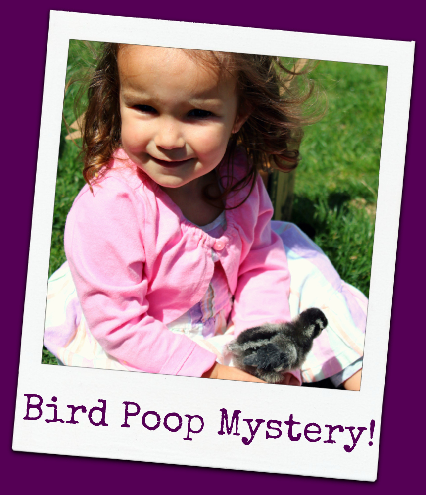 Sherlock Mom and the "Bird Poop Eating" Mystery True Aim