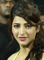 Shruthi, Haasan, @, CCL, Match