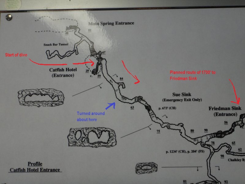 States of Immersion A Florida Cave Diving Adventure Manatee Springs