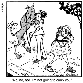 Marmaduke Dog Names Marmaduke Dog Names