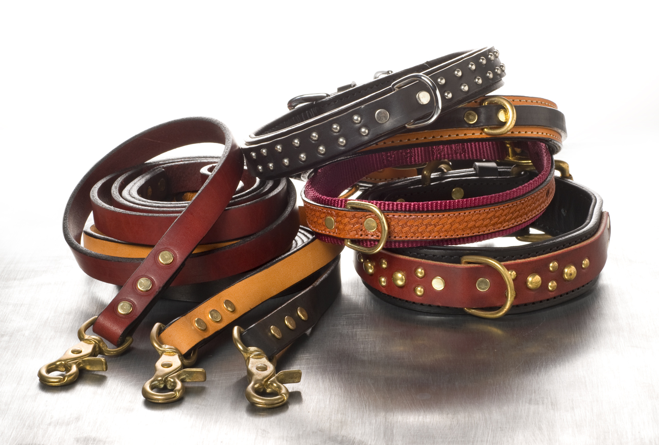 bearded-dragon-leather-harness-and-leash-set