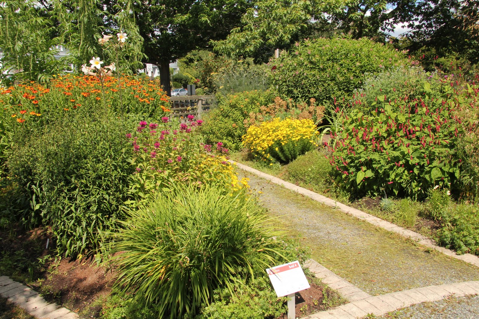 Gardening and Gardens Seattle's Public Gardens