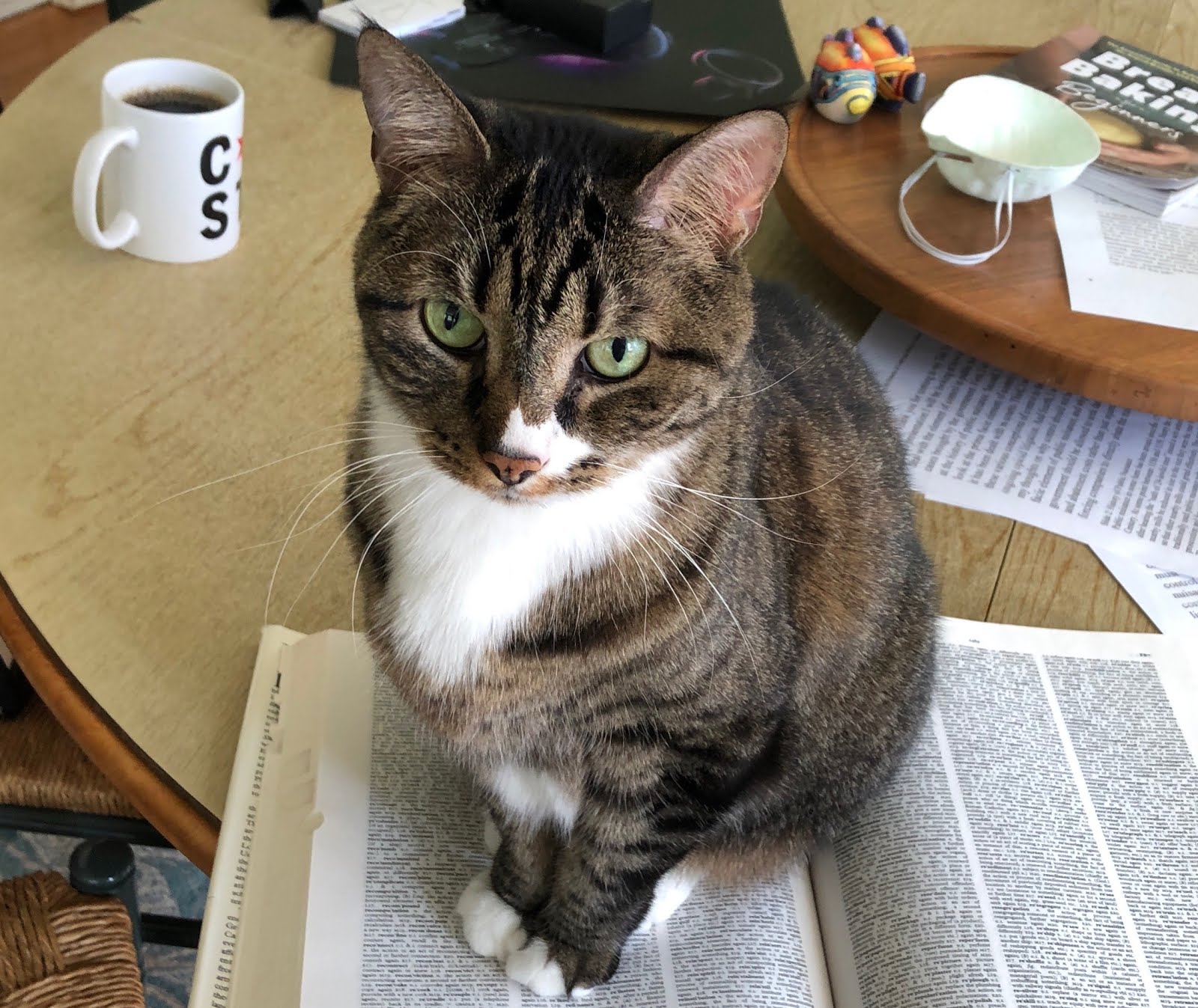 Every Goddamn Day 05 20 20 2020