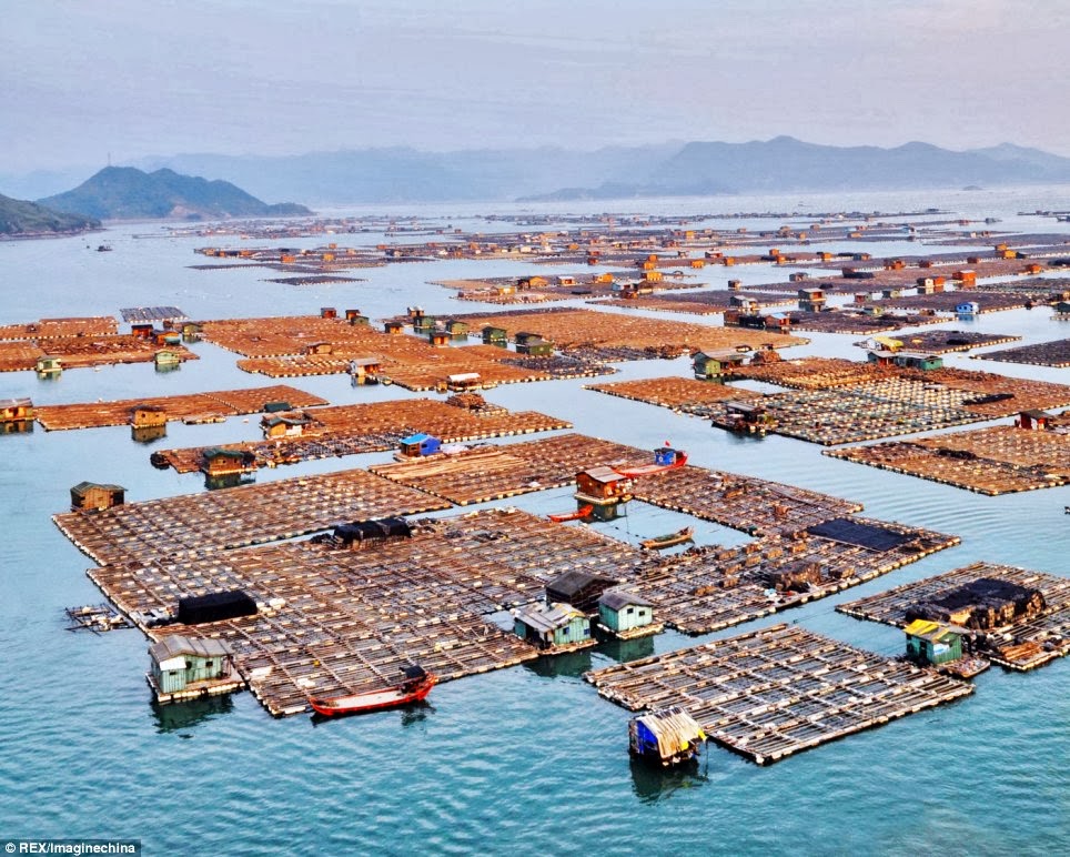 China's Floating Fishing Cities Stunning Interesting Facts