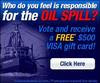 WHAT DO YOU THINK ABOUT THE BP OIL SPILL?