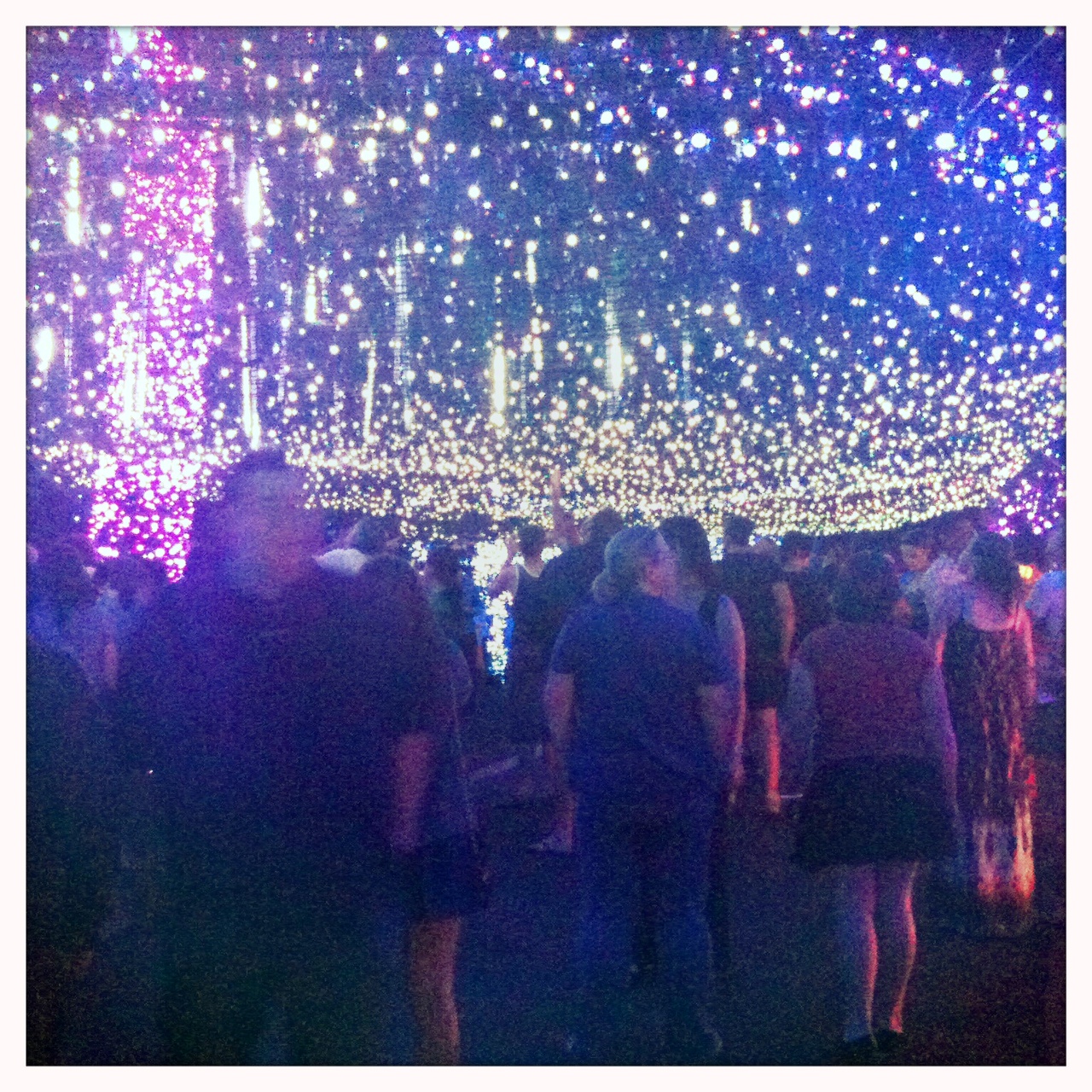 Blithe Moments The World Record for Christmas Lights