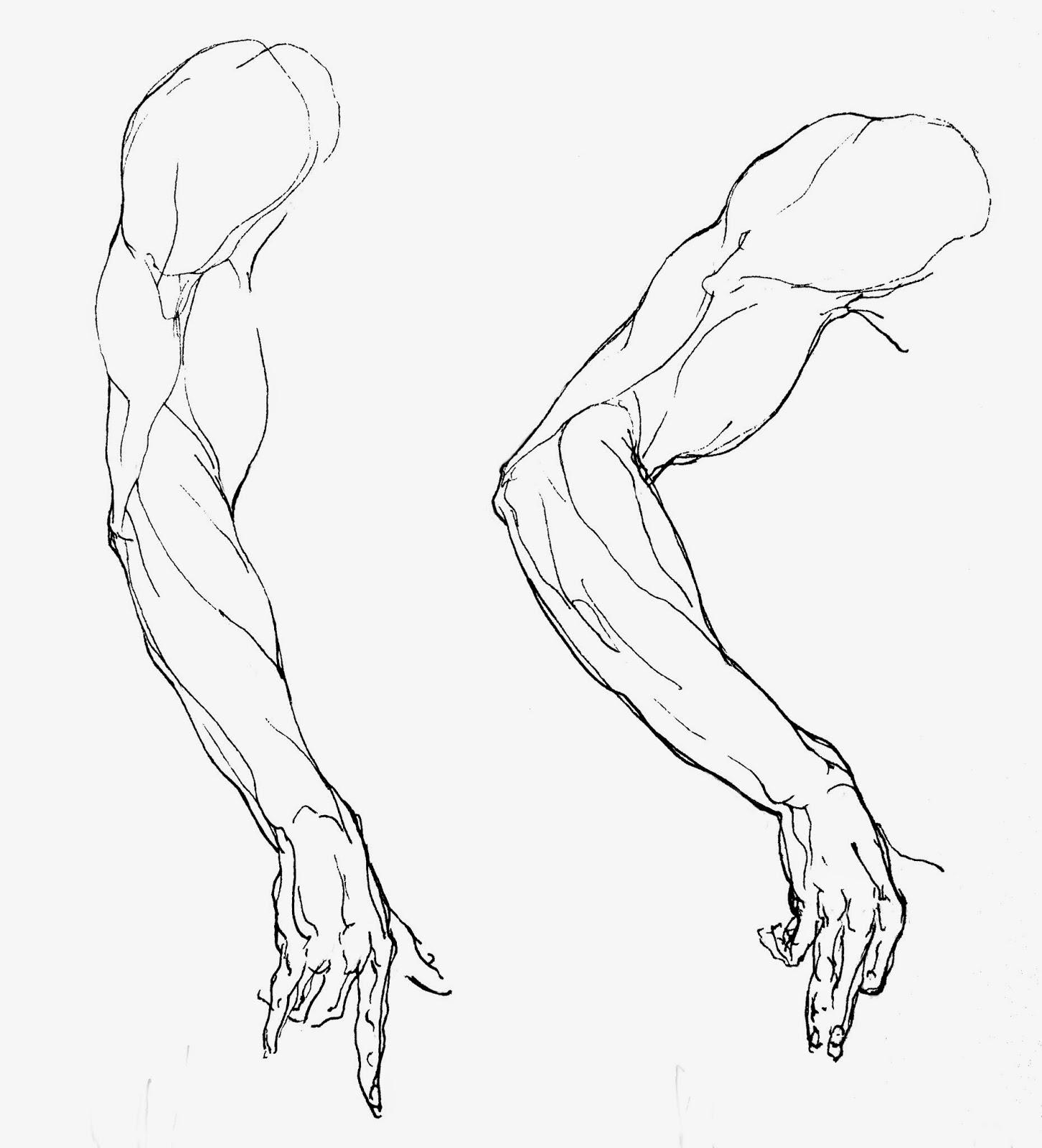 Dibujo De Brazo at Gensophieblog Blog Dibujo De Brazo at Gensophieblog Blog