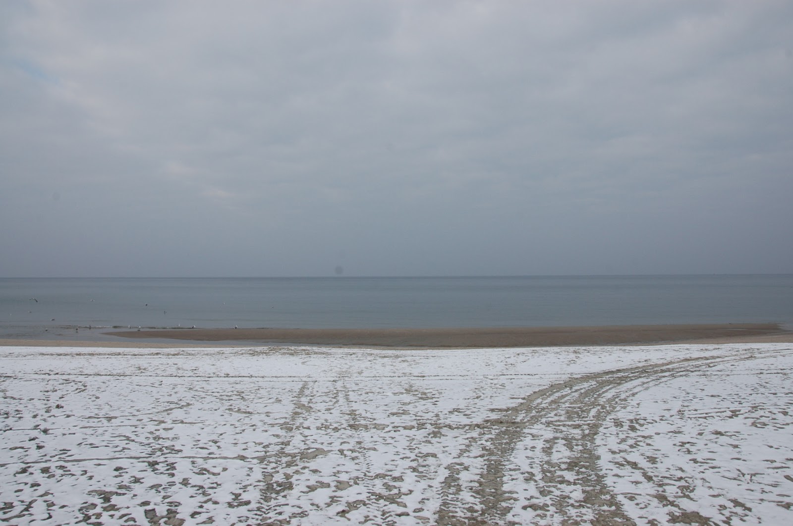 Somnio, ergo sum Krynica Morska Deniz Feneri