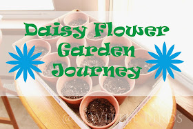 3 Wittle Birds: Daisy Flower Garden Journey: Session 1