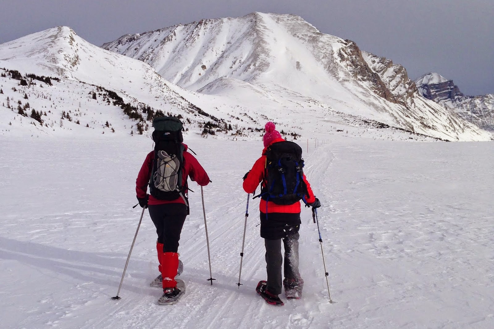 Family Adventures in the Canadian Rockies In Search of the Ultimate Backcountry Ski Lodge (on