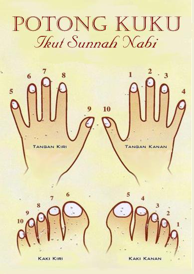 Sehari Satu Sunnah 2012