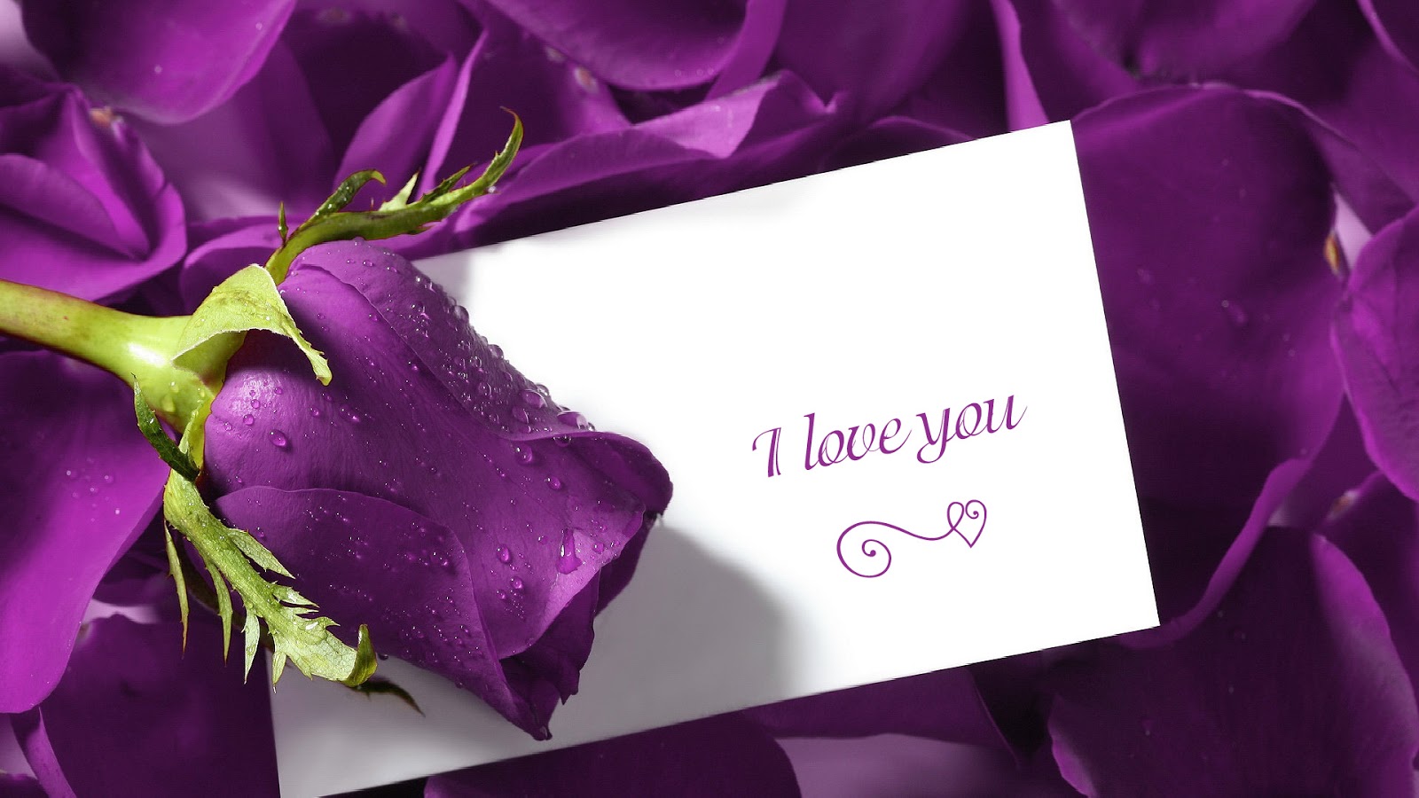 http://2.bp.blogspot.com/-1tRAdDyNB4M/UQdl2YqNYJI/AAAAAAAAALI/W3Aeob8p-9I/s1600/valentines%2Bday%2Bsms%2Bmessage%2Bwishes.jpg