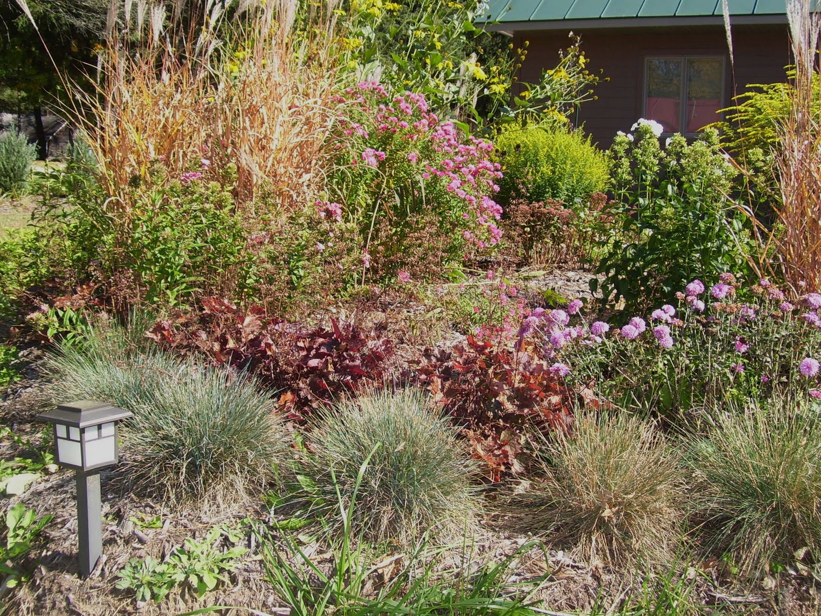 Talking to Plants Disguising a Drain Field