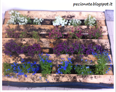 un giardino a testa in giù