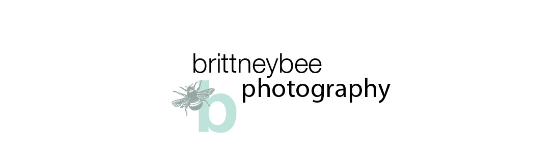 brittneybee photography