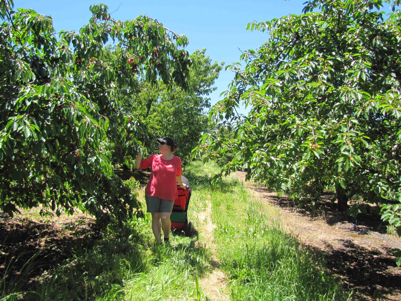 The Shadow Campaigns Series - Penguin Random House