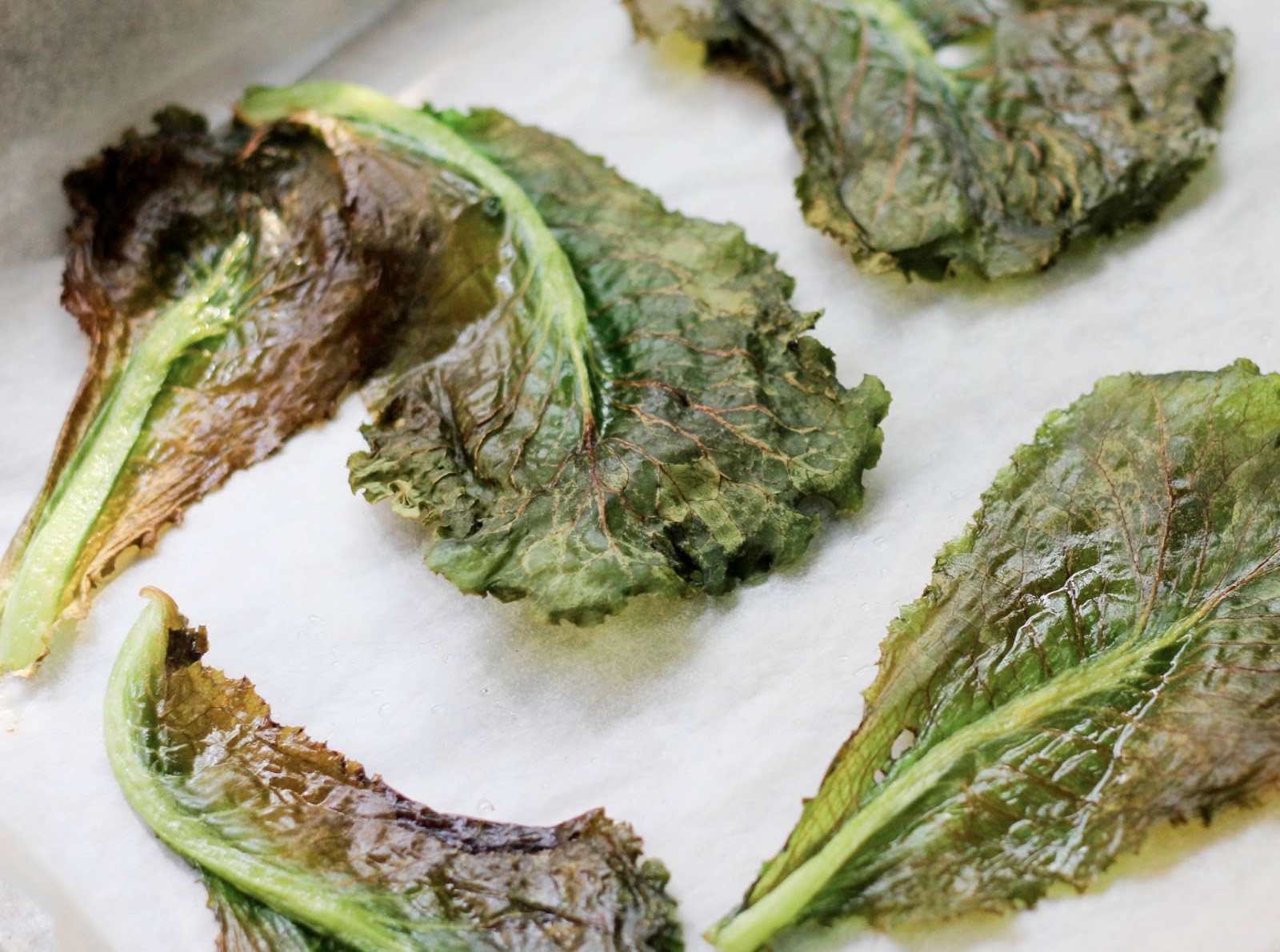 A Scientist's Love Affair with Food Lettuce "Chips"