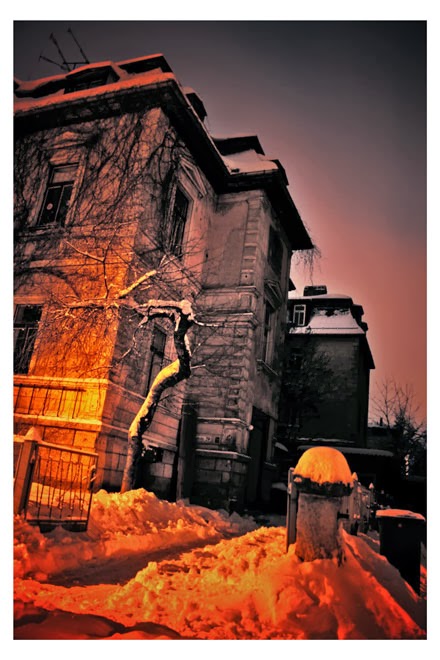 Weimarer Zwiebelmarkt