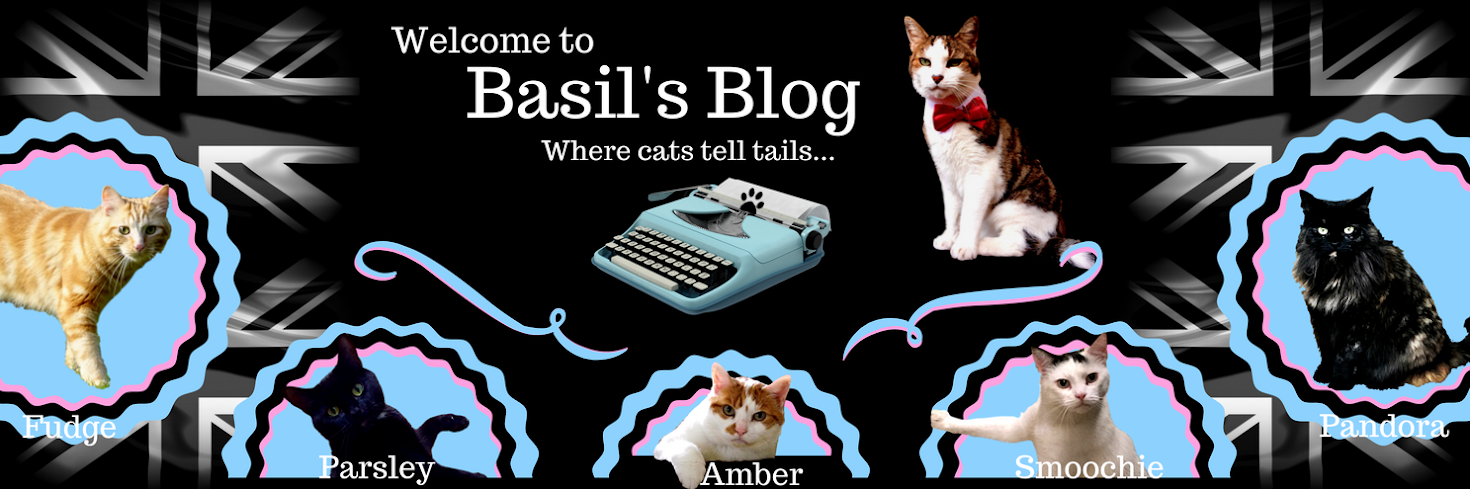 Basil's Blog