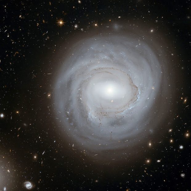 Hubble deep view of NGC 4921 in the Coma Galaxy Cluster