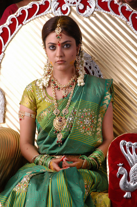 nisha agarwal new in traditional saree in solo hot photoshoot