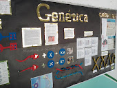 31B/2012-  Genética e Informação: Incrível