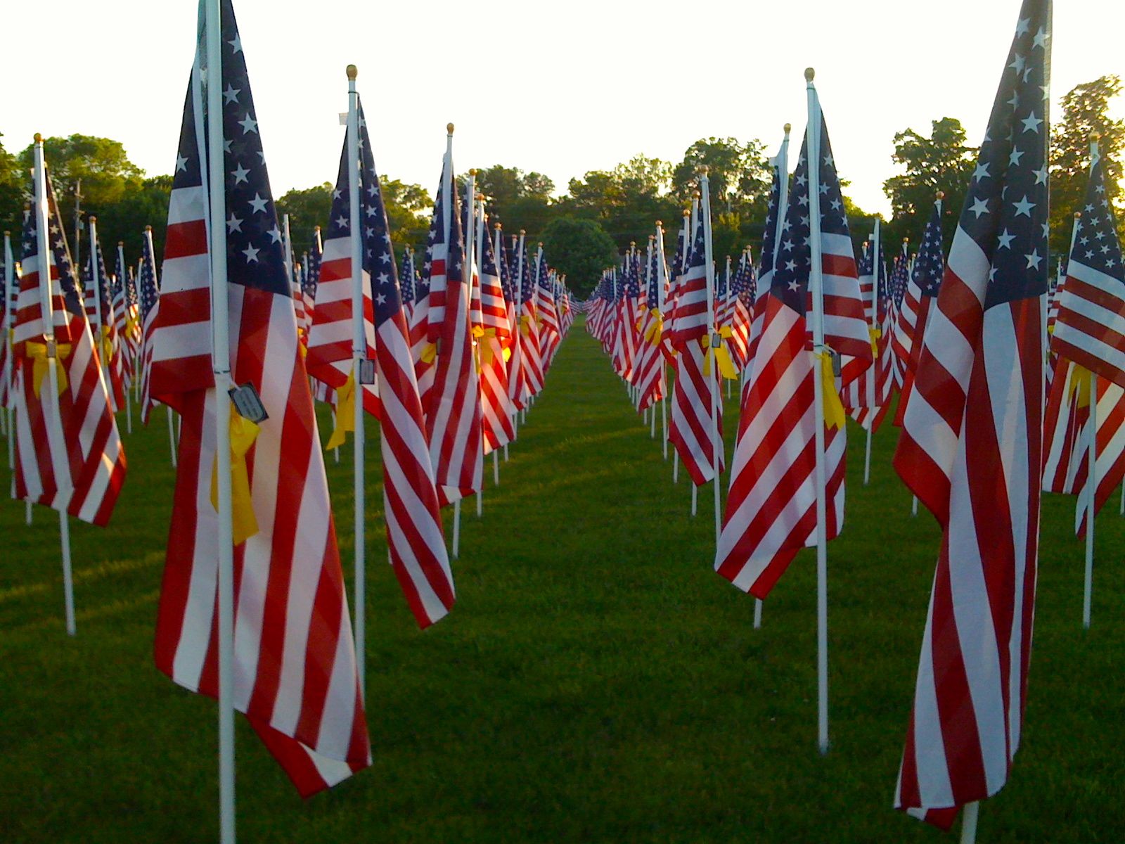 And our flag was still there essay image