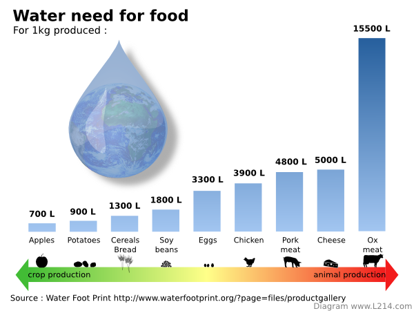 water-need-for-food-600x450.png