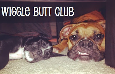 Wiggle Butt Club
