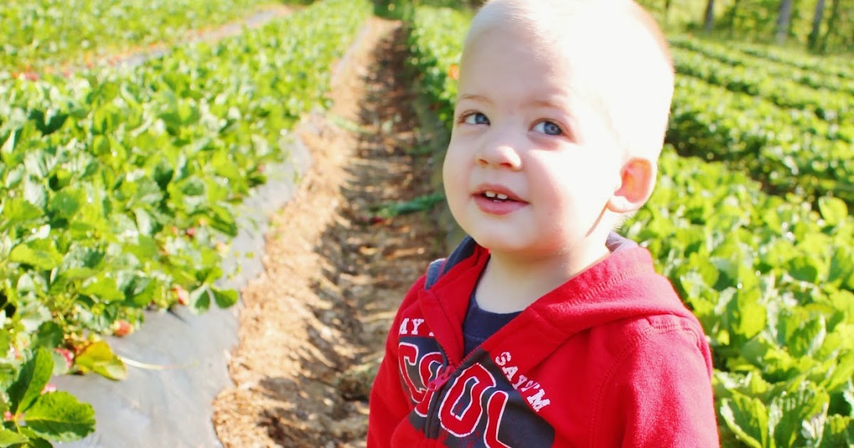 Buckwheat Farm, Apex NC The Happy Flammily
