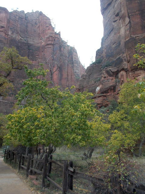 Temple of Sinawava Zion National Park