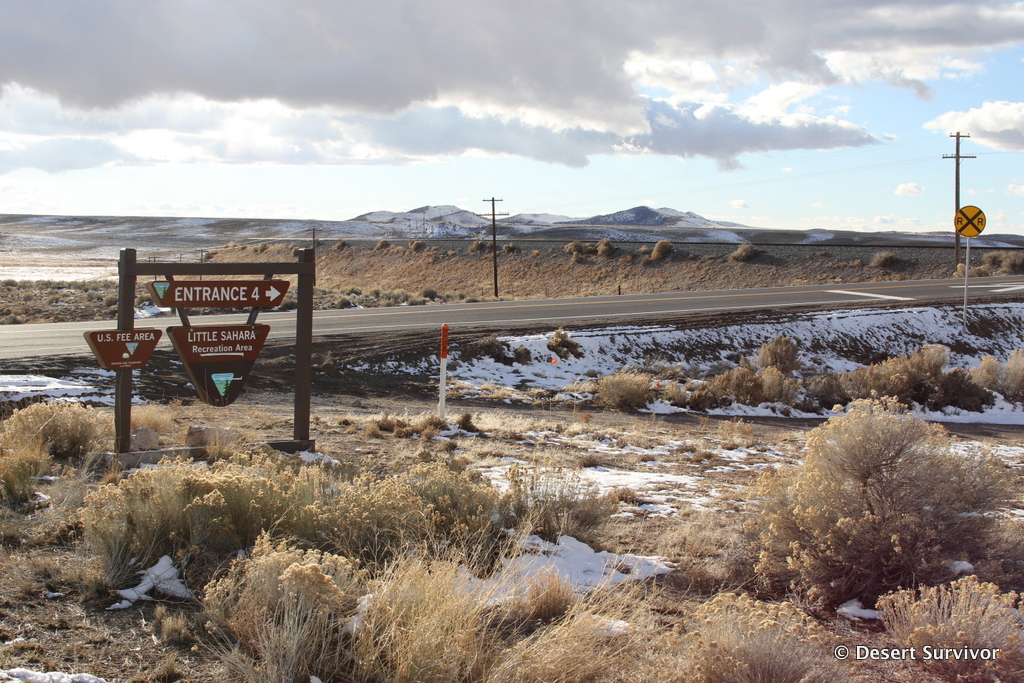 Desert Survivor Little Sahara Recreation Area Juab County Utah