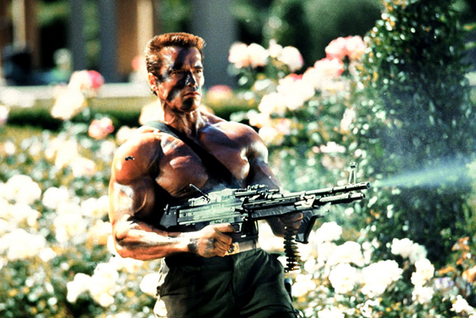 Arnold Peliculas Noviembre 1985