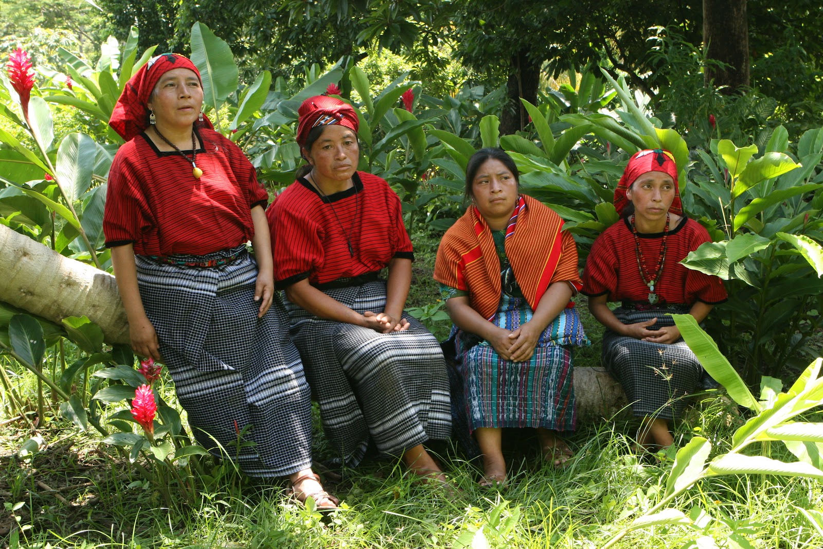 13pueblos Por Morelos, los indígenas primero