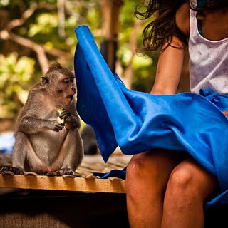Animal Funny Picture