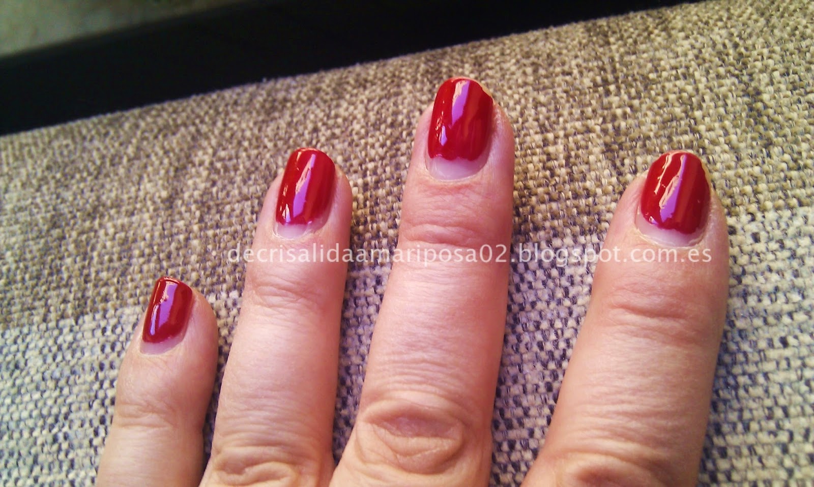 de crisalida a mariposa blogger