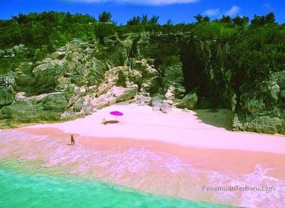 Indahnya Tempat Wisata Pantai 3 Warna di Malang Penemuan