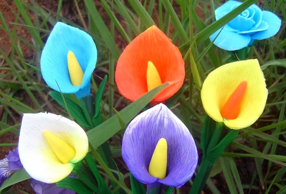 Lovely Flowers HD Wallpaper - Wallpapers