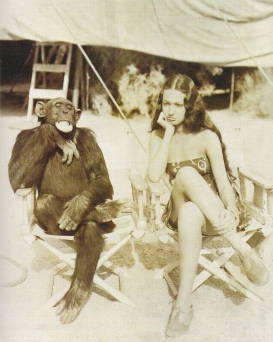 Stephen Hawking Tropical Hot Dog Night Stephen Hawking Tropical Hot Dog Night