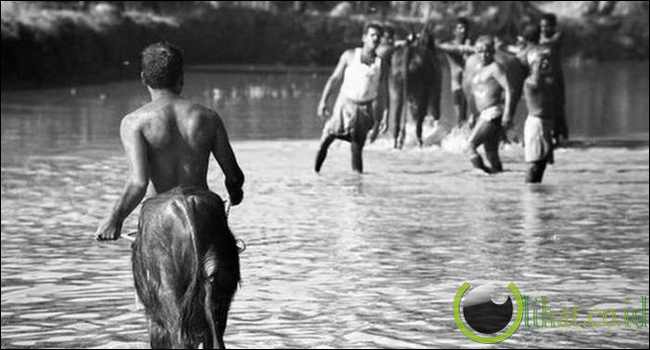 The Centaur The Centaur