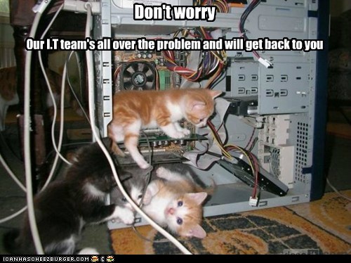 funny-cat-pictures-dont-worry.jpg