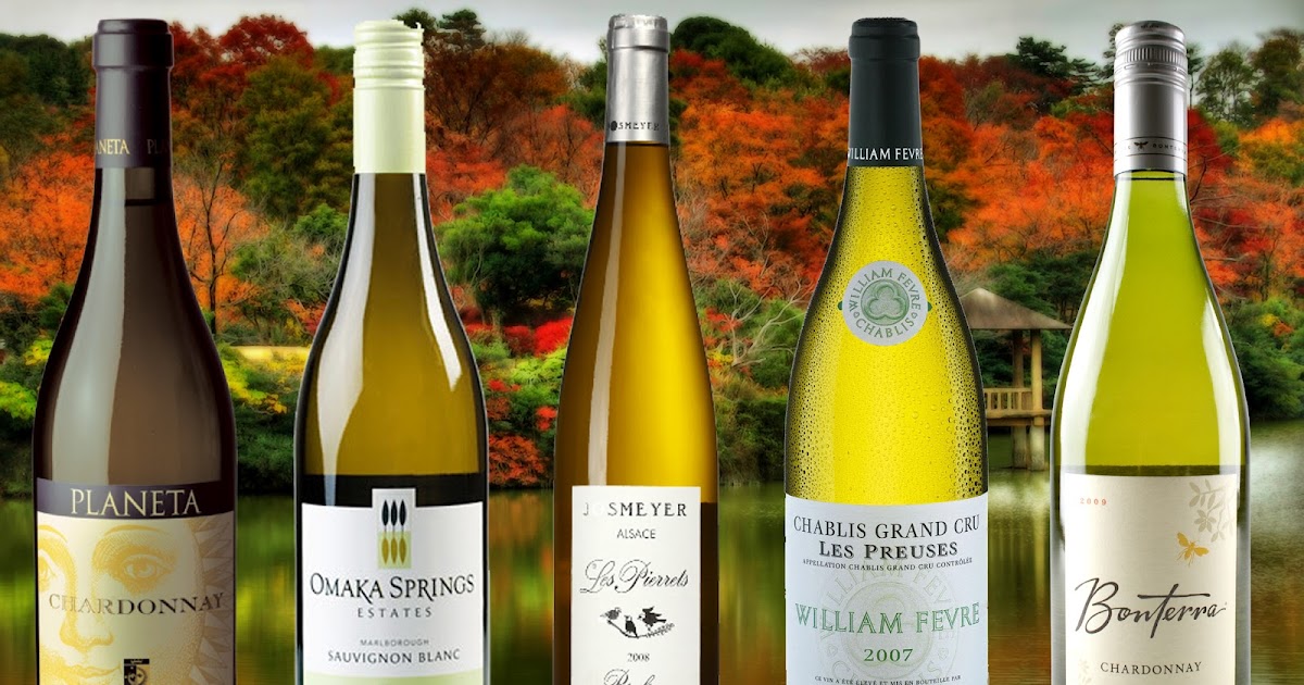 Article 5 Great White's for the Autumn