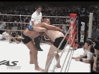 25+Fedor+Emelianenko+vs+Mirko+Filipovic_xvid_001.gif